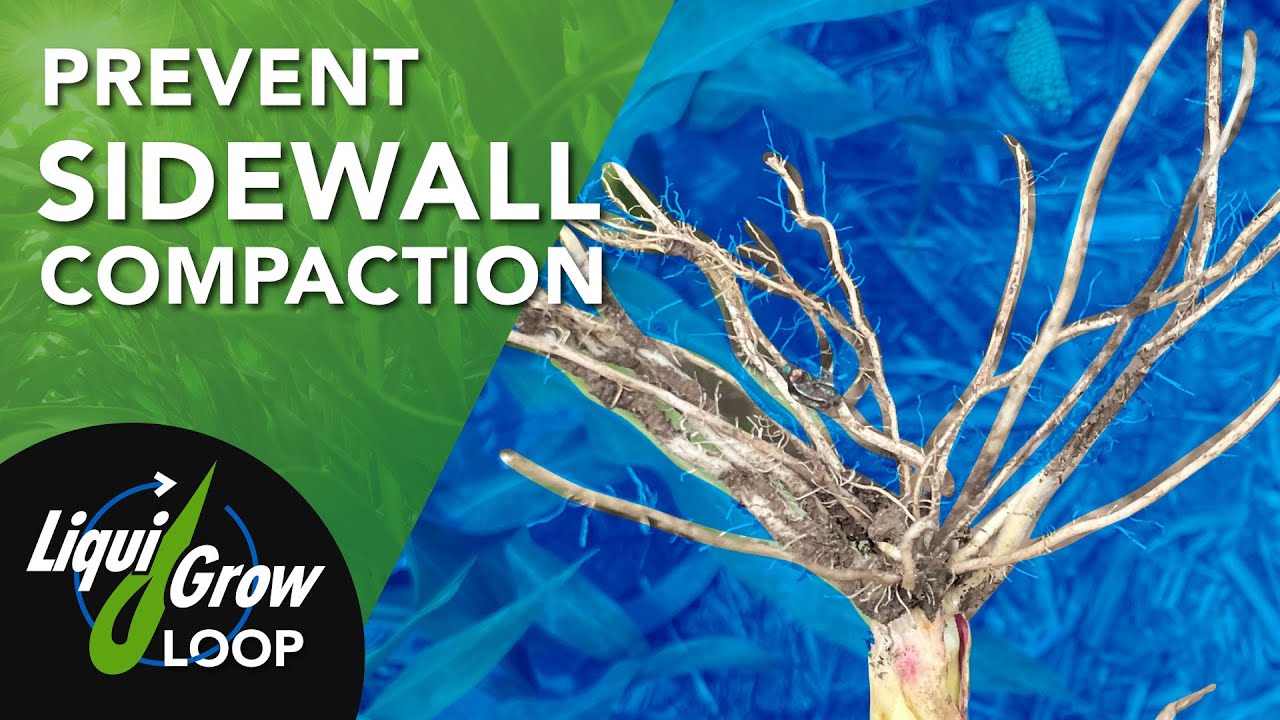 How to Avoid Sidewall Compaction