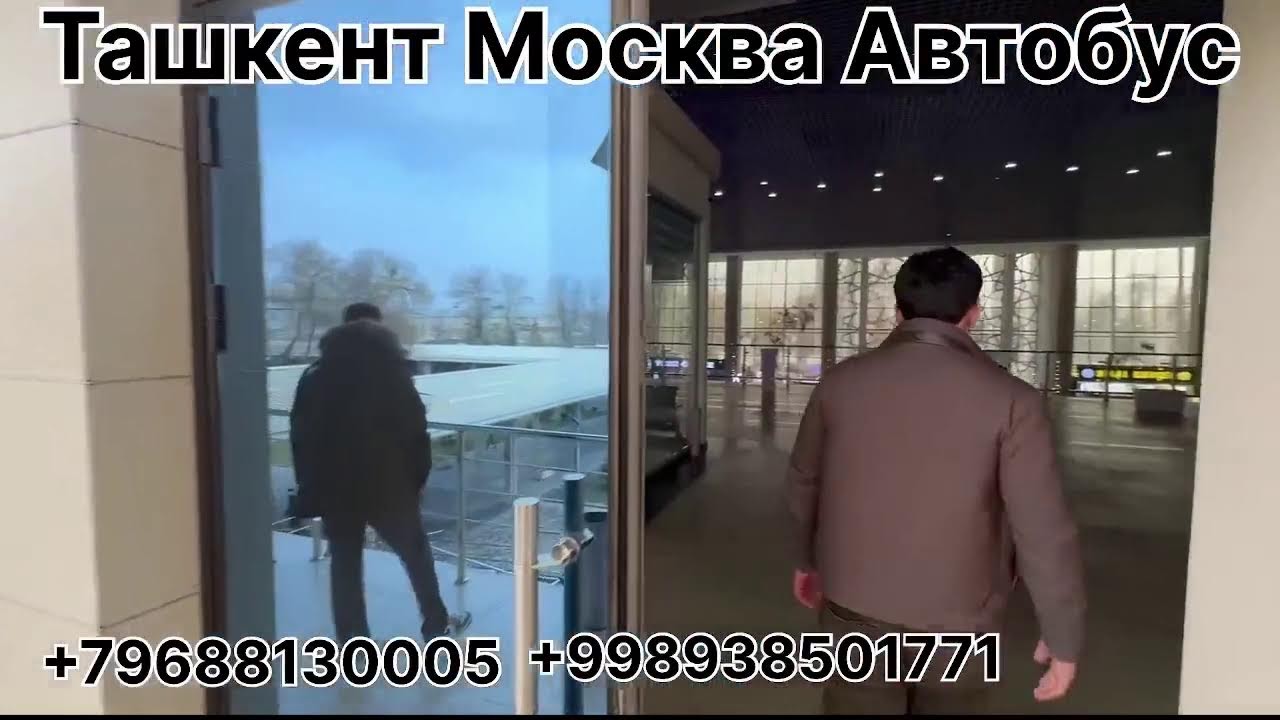 ташкент москва автобус