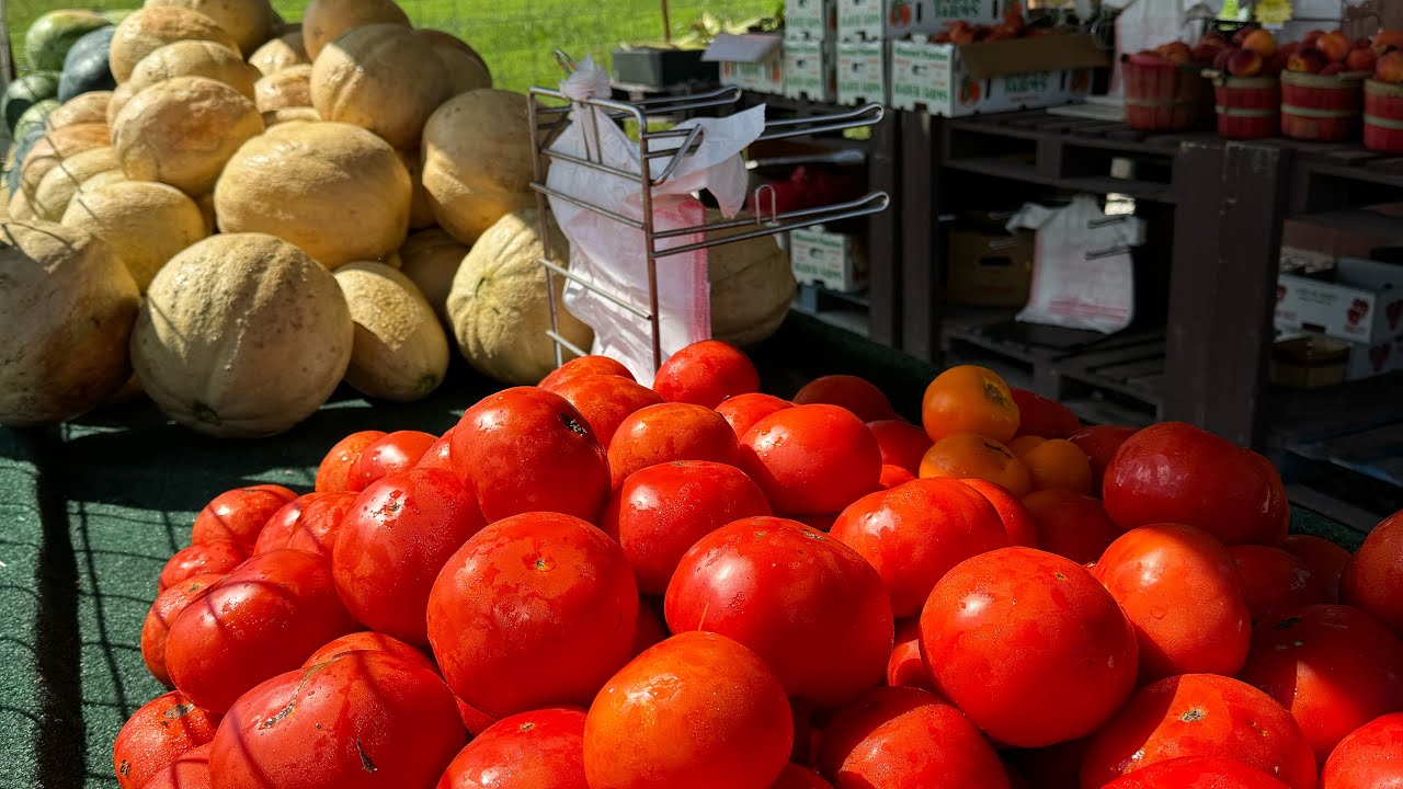 Plan for 2026 Greenhouse Tomatoes 🍅 