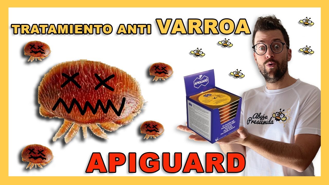 APIGUARD  🐝🧡🎥 Tratamiento ECOLÓGICO anti VARROA