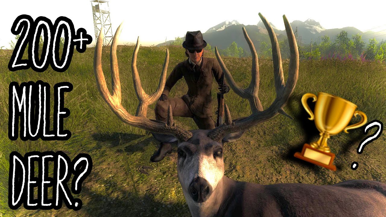 IN SEARCH OF MY FIRST 200+ MULE DEER IN THE HUNTER CLASSIC! WILL ONE MAKE IT?
