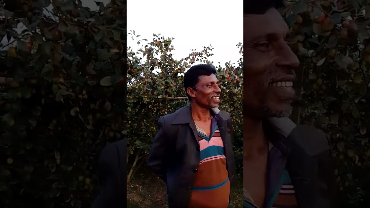 ভিডিওটি না টেনে সম্পন্ন না দেখলে বুঝবেন না যে আসলে একটি গাছে এতগুলো করে ফল কিভাবে ধরে 
