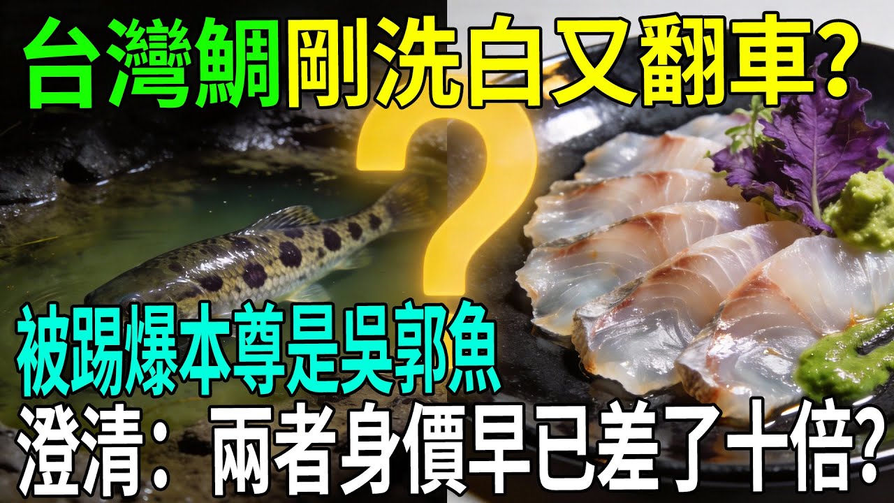 台灣鯛剛洗白又翻車？被踢爆本尊是吳郭魚！急忙澄清：兩者身價早已差了十倍？#台灣鯛 #吳郭魚 #羅非魚 #台灣之光 #水產養殖 #美食真相 #農業科技 #台灣歷史 #冷知識