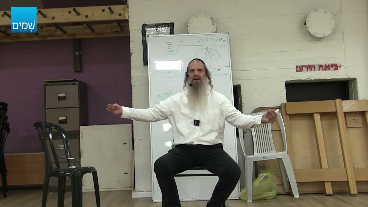 רוני אילון תהליך- י-ם 3- IFS-פרוטוקול עבודה עם ה'גולים'
