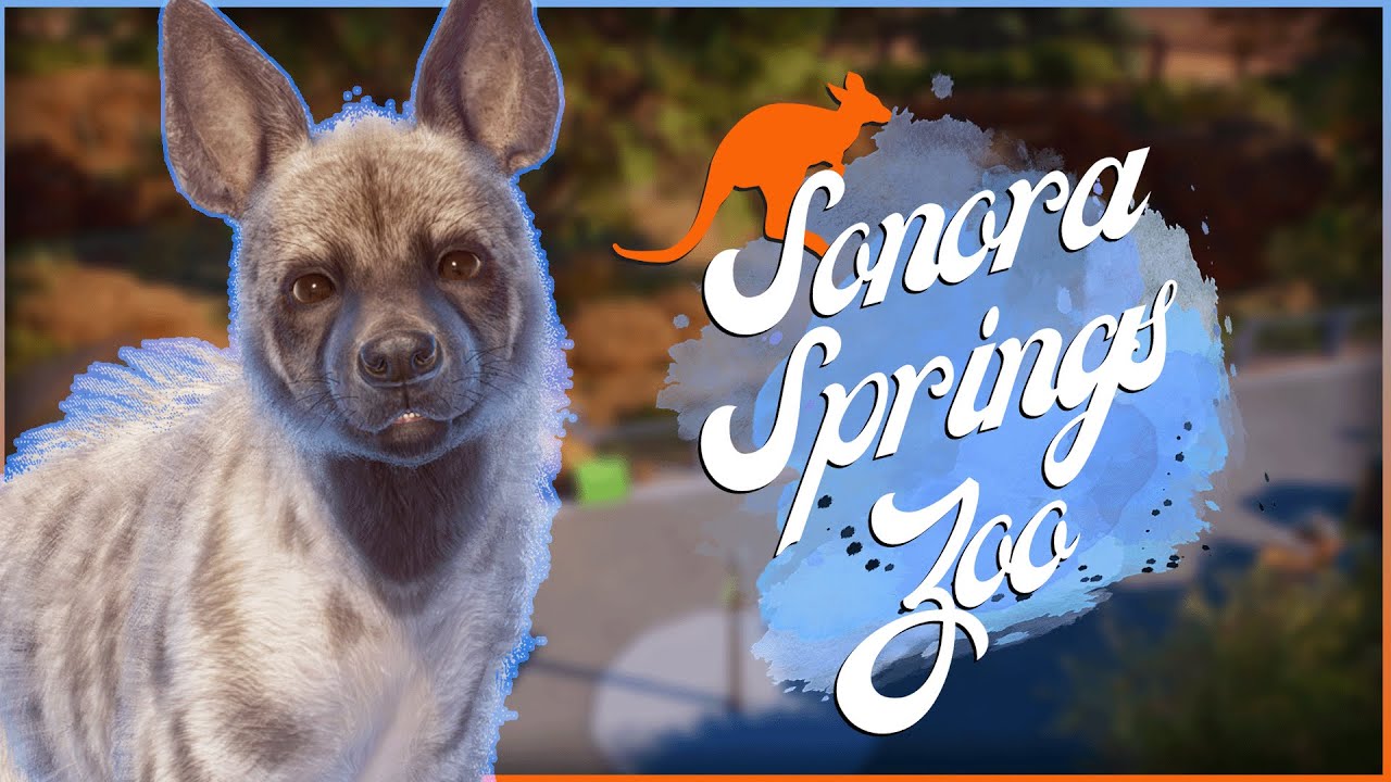 Gorgeous Striped Hyena Habitat! | Sonora Springs Zoo