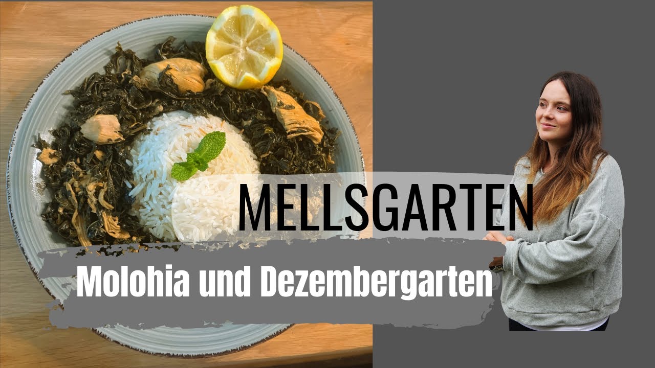 Molohia auf syrische Art 🌿 | Syrische Küche & Gartenalltag Vlog #4