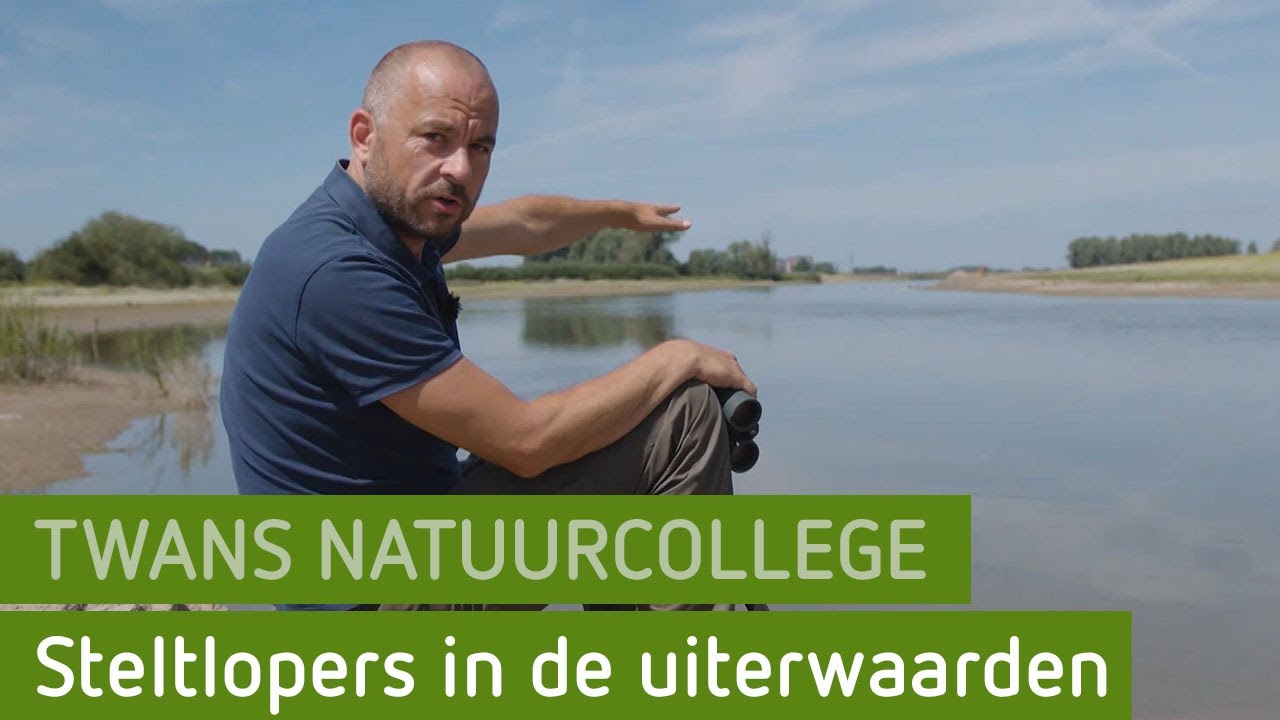 Hoe leven steltlopers in de nieuwe uiterwaarden? | Twans natuurcollege
