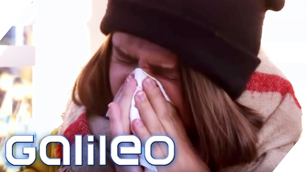 Nie wieder krank: Mit diesen Tipps steckt ihr euch nicht mehr an! | Galileo | ProSieben