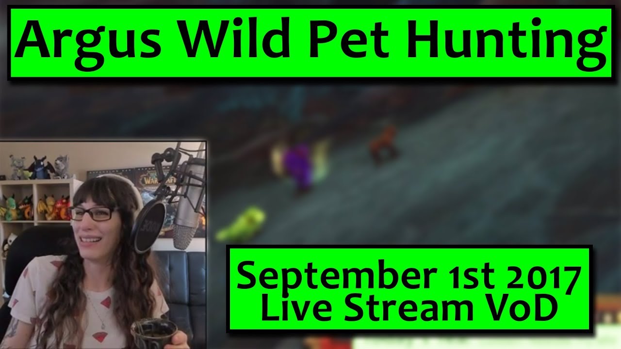 Argus Pet Hunting and Demon Eye Farming - September 1st Live Stream VoD