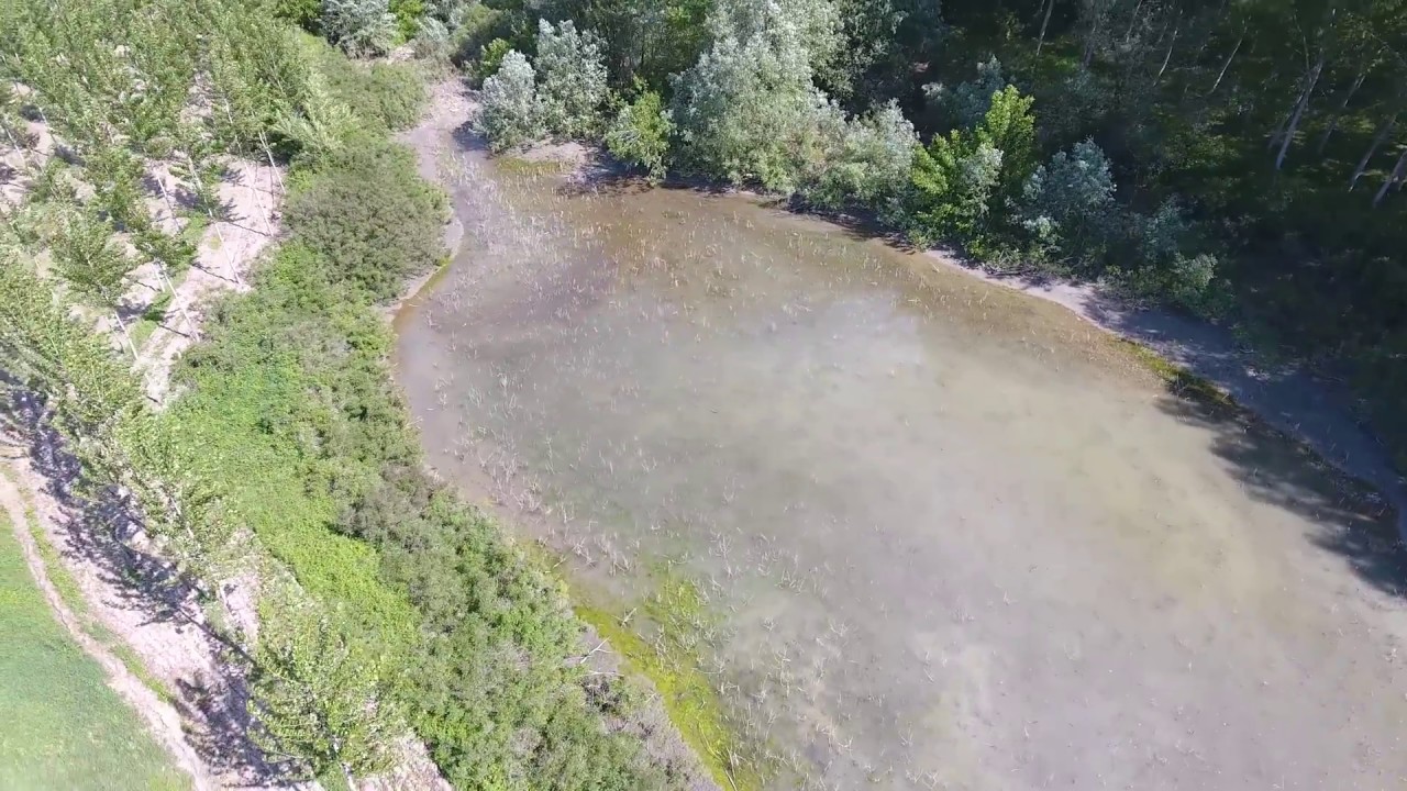Casalmaggiore's Nature by Drone By Bek (DJI Phantom 4)