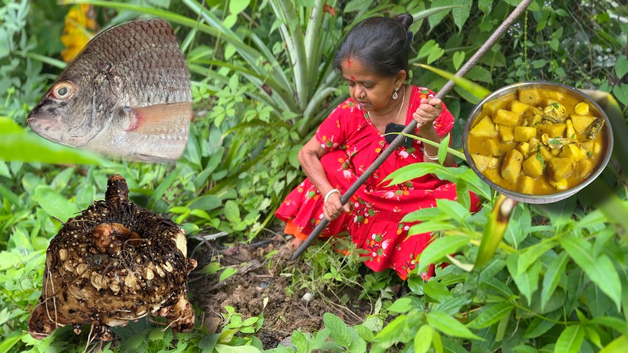 কোরাল মাছের মুড়ো দিয়ে বাগিচার ওল রান্না Koral Macher Mudo Diye Bagichar Ool Ranna 