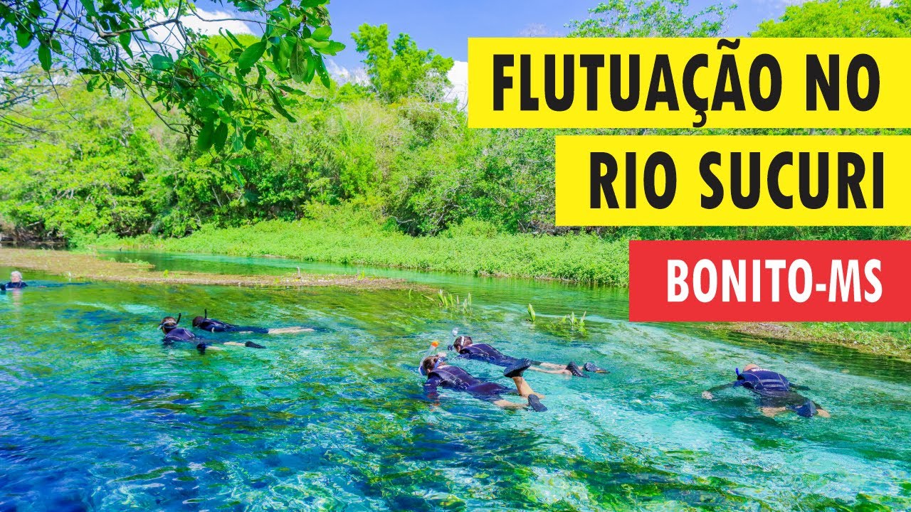 Flutuação no Rio Sucuri, Bonito-MS - Blog Meu Destino