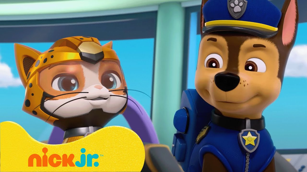 Paw Patrol - La Squadra dei Cuccioli | I migliori salvataggi e avventure del Cat Pack! | Nick Jr.