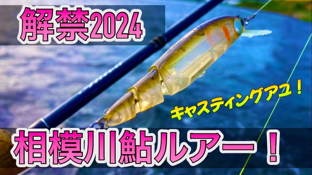 【鮎ルアー】相模川キャスティングアユ解禁2024