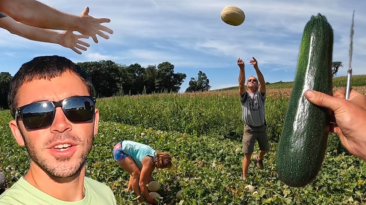 Mid-Season Vegetable Harvest
