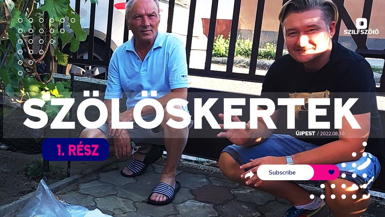 🍇 SZŐLŐSKERTEK - 1.rész  ( Újpest )