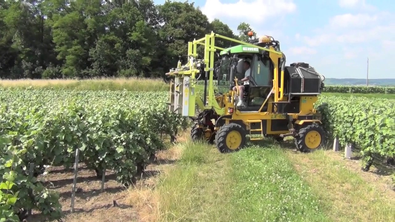 Gearmore Collard Vineyard equipment