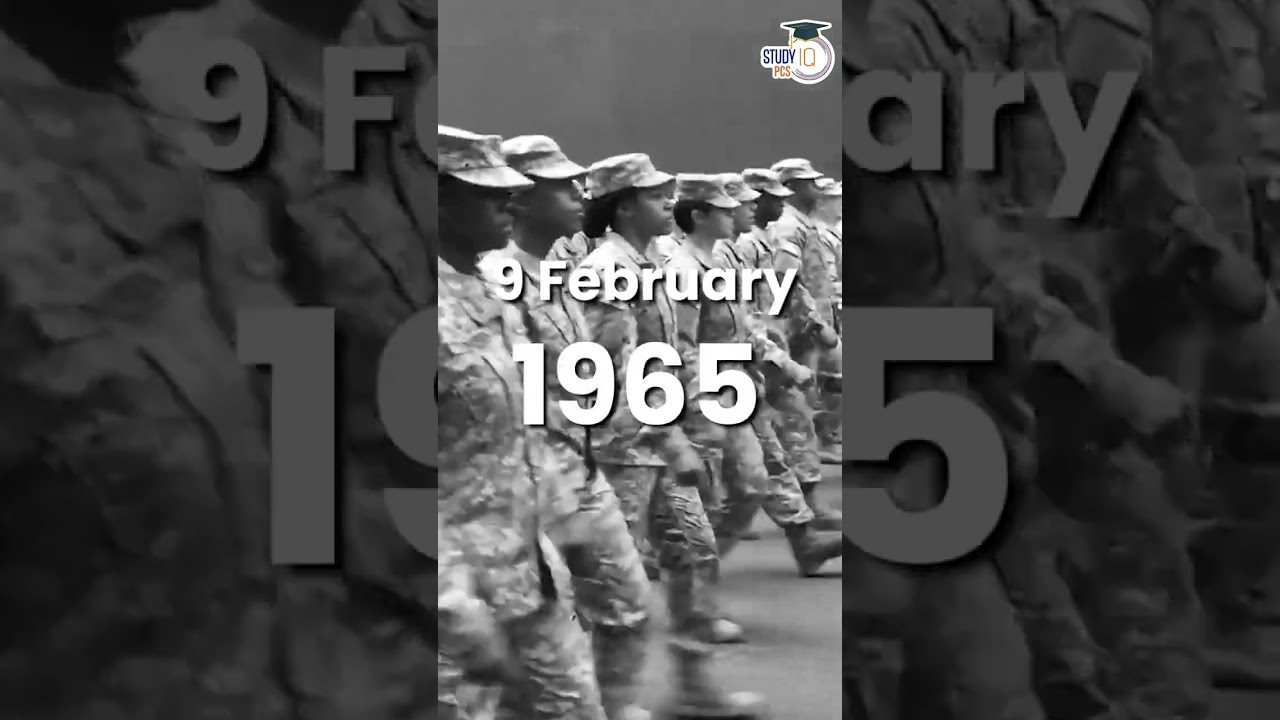 American army Cruelty in Vietnam Army Female Solders | Vietnam War 