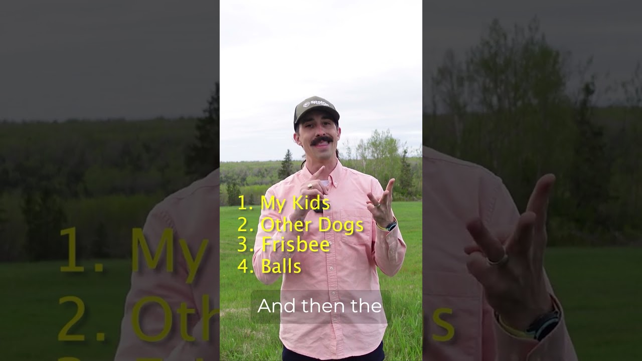 3 GPS Fence Training Mistakes to Avoid | SpotOn Homework Before You Start