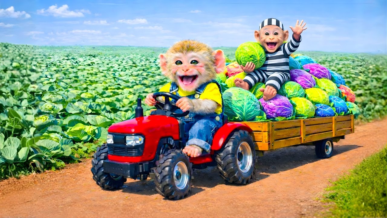 Little Farmer Monkey Meets a Thief in a Storm — From Enemies to Best Friends | Monkey Farm Work