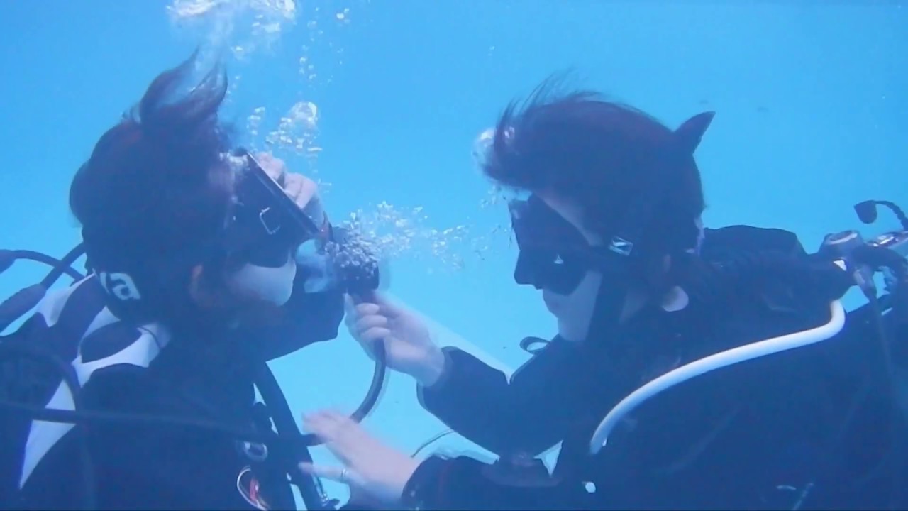 PADI DM