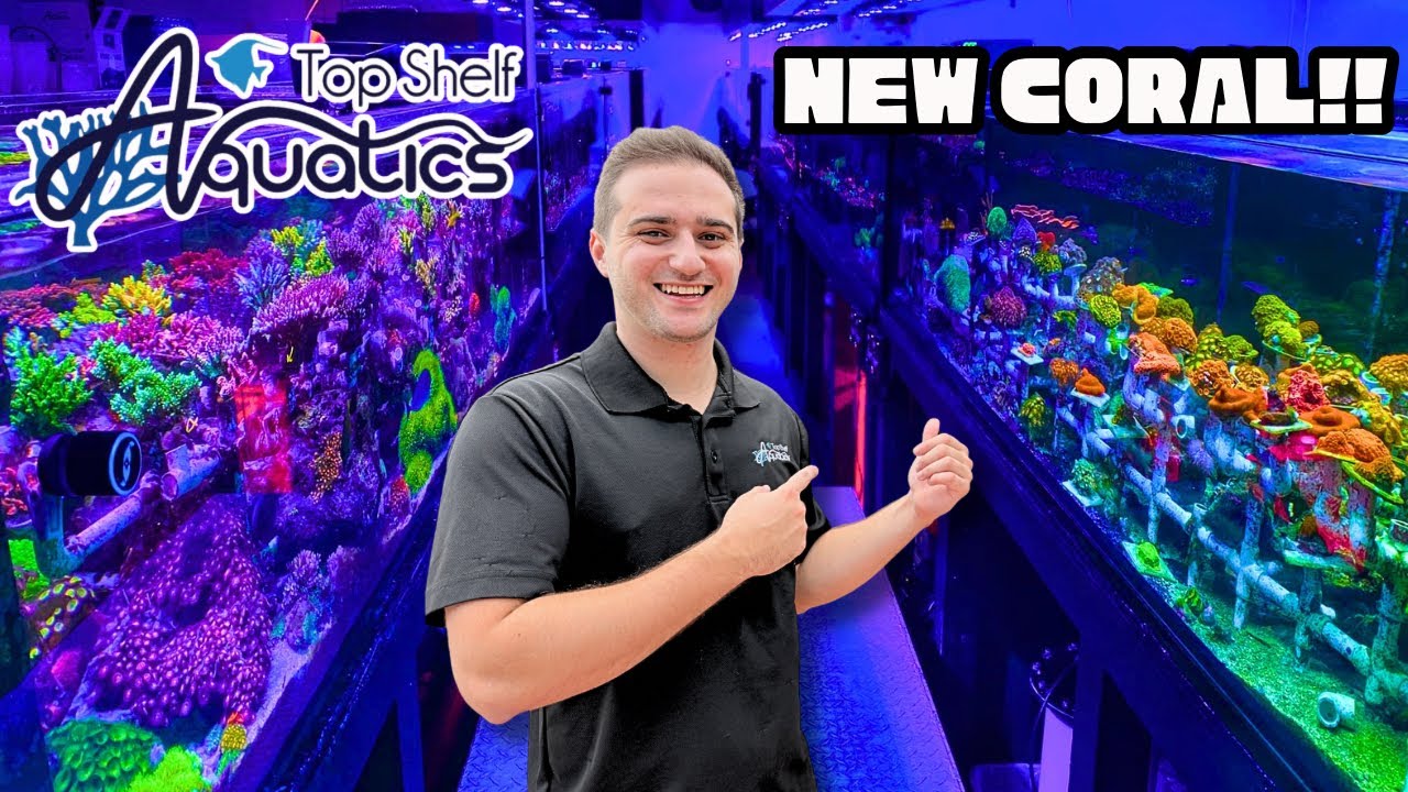 I BOUGHT CORAL FROM THE BIGGEST CORAL FARM!!