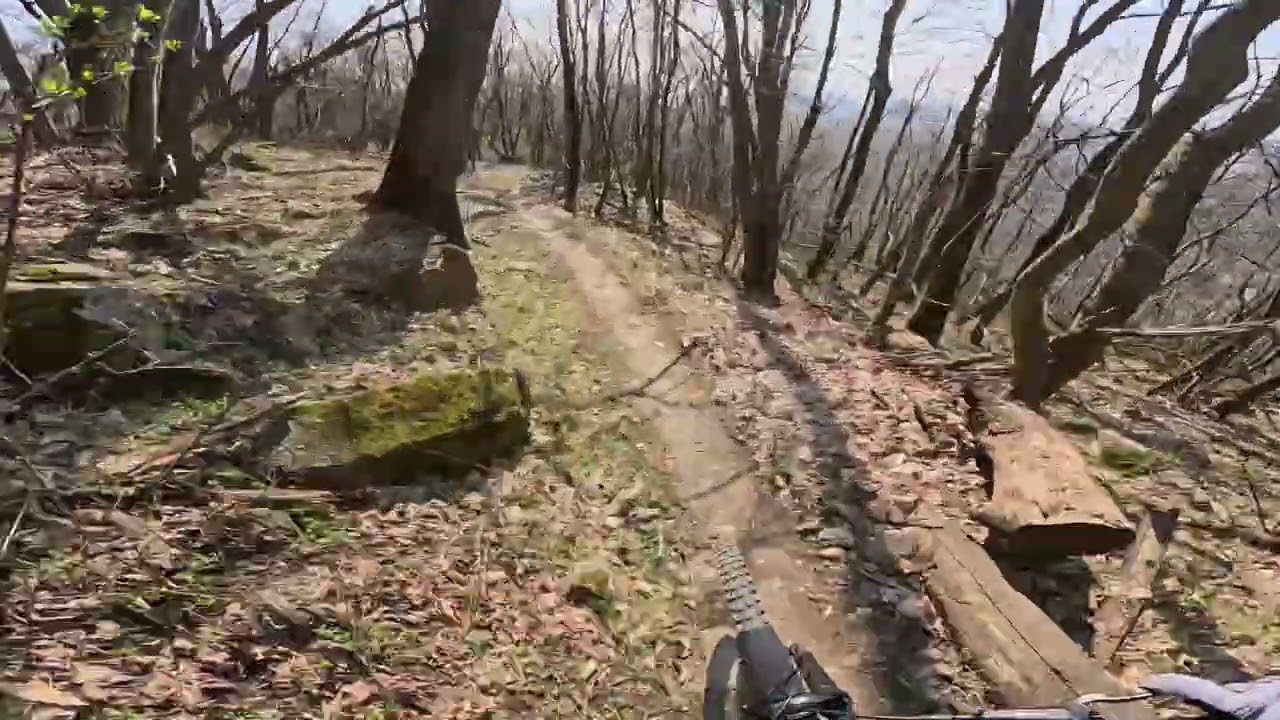 Hosszúhetény | disznó | 2026 🇭🇺