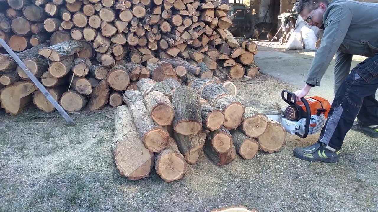 Stihl MS 880 chainsaw  Cutting firewood early in the morning me and my dog
