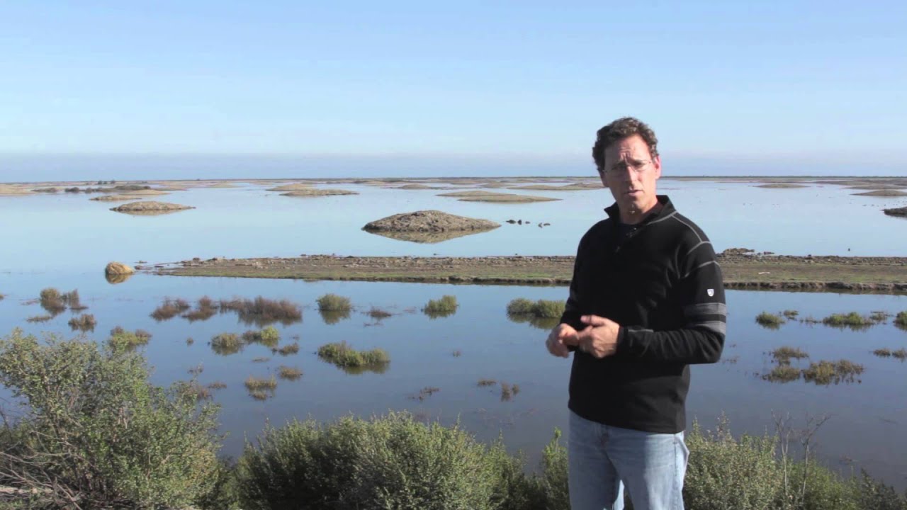 Sears Point Wetland Restoration, January 2015 (5 min.)