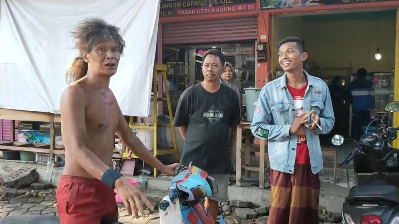 GUS JAVAR BELI IKAN DI PASAR KEBONAGUNG ISI KOLAM IKAN DI LAPANGAN GAYAM
