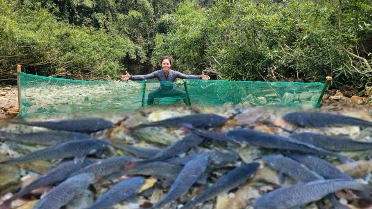 After two days of fishing in the big stream, the girl caught a lot of fish to sell.