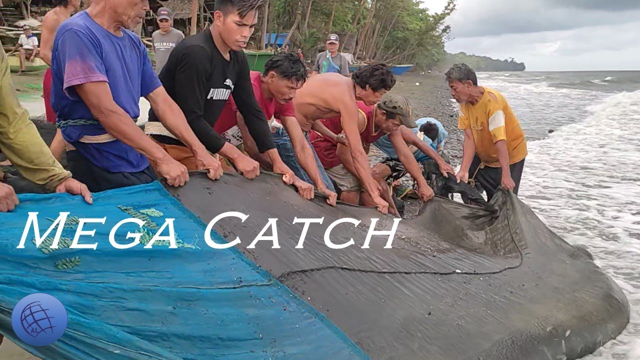 Great Catch with Net Fishing in Philippine Village