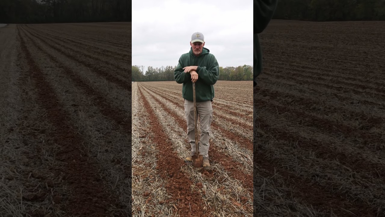 Strip-tillage saves Chad money and conserves soil biology #farming #johndeere #alabama #agriculture