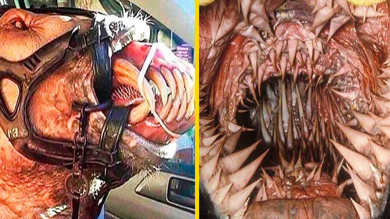 Top 10 Disturbing Anomalies in Science That Shouldn&rsquo;t Exist