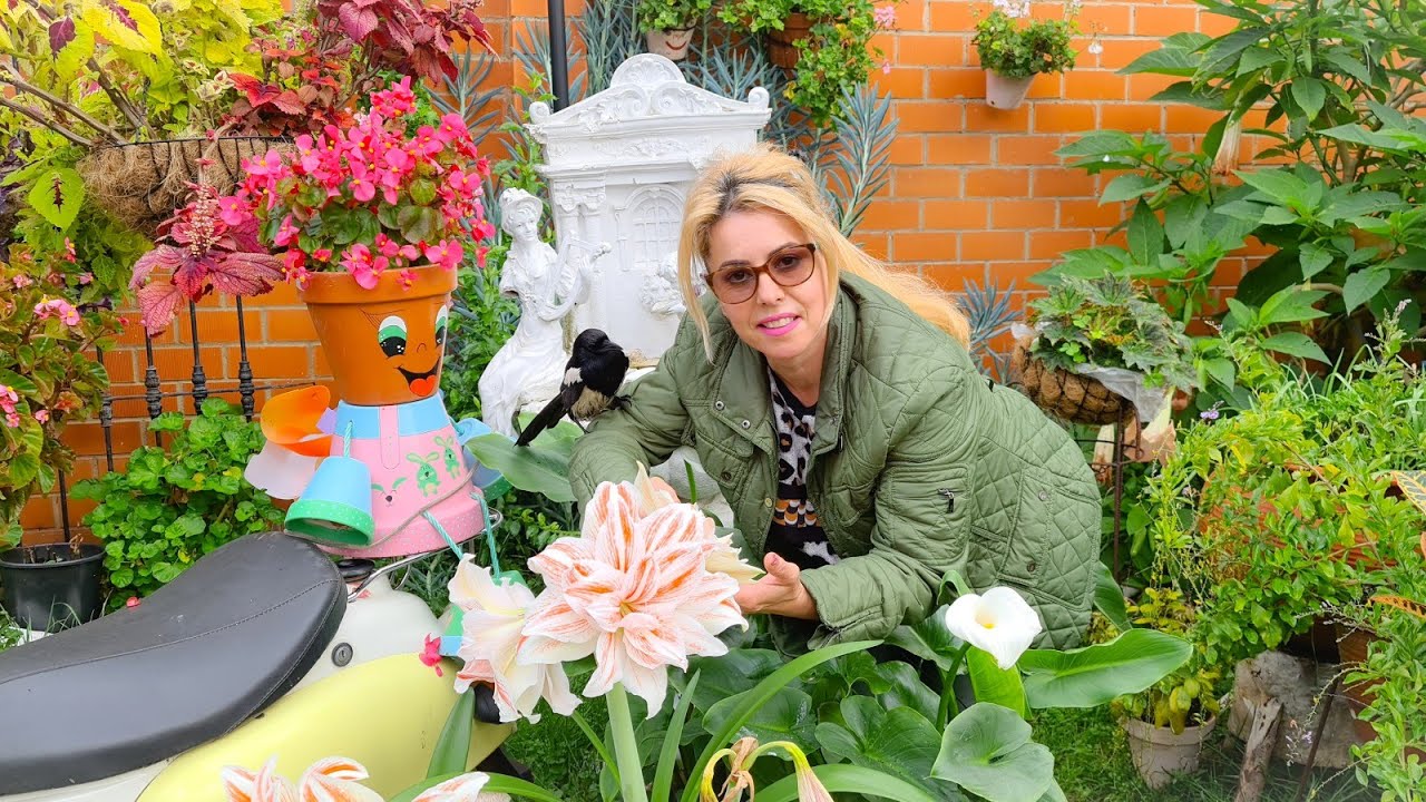 EL RIEGO ADECUADO 🌹 a variedades de plantas 🌻 para evitar enfermedades 🌹🦅🍁