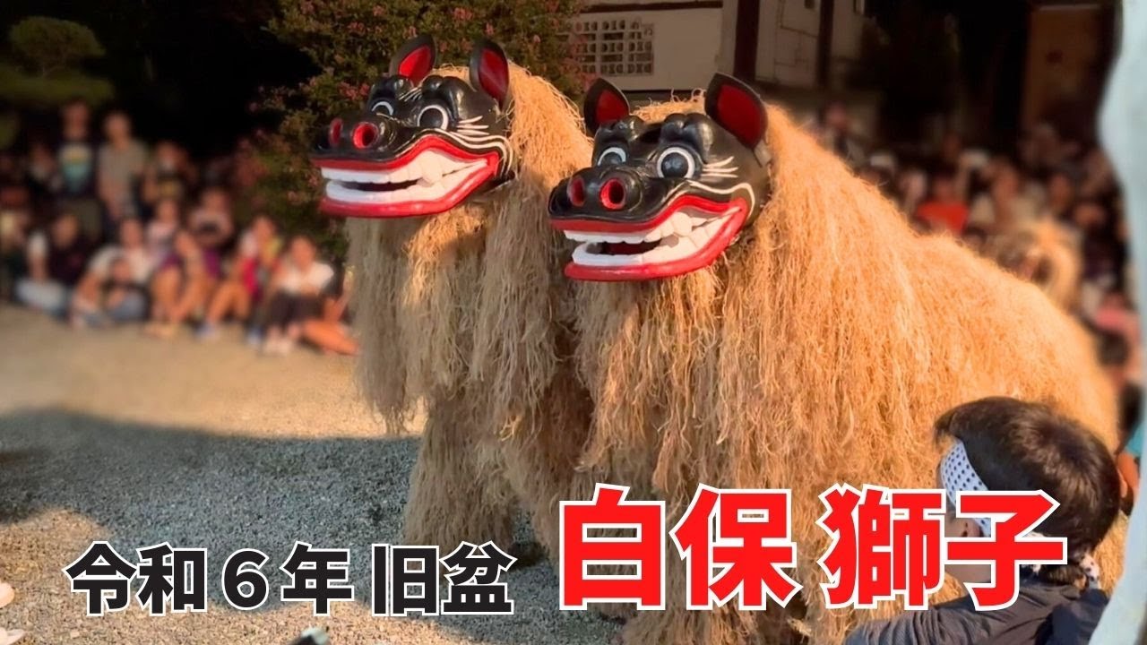 【令和6年旧盆】白保獅子#石垣島 #旧盆 #獅子舞 #シーシー #伝統文化 #沖縄