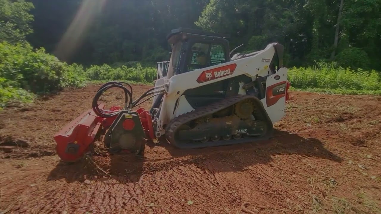 USA Forestry/Kudzu/Stumps/RootSystem
