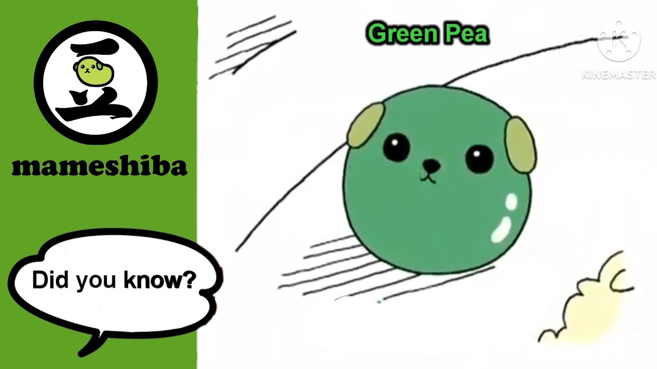 Mameshiba - Green Pea (Better Quality, USA)