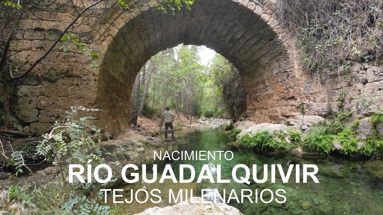 Nacimiento Río Guadalquivir y Tejos milenarios