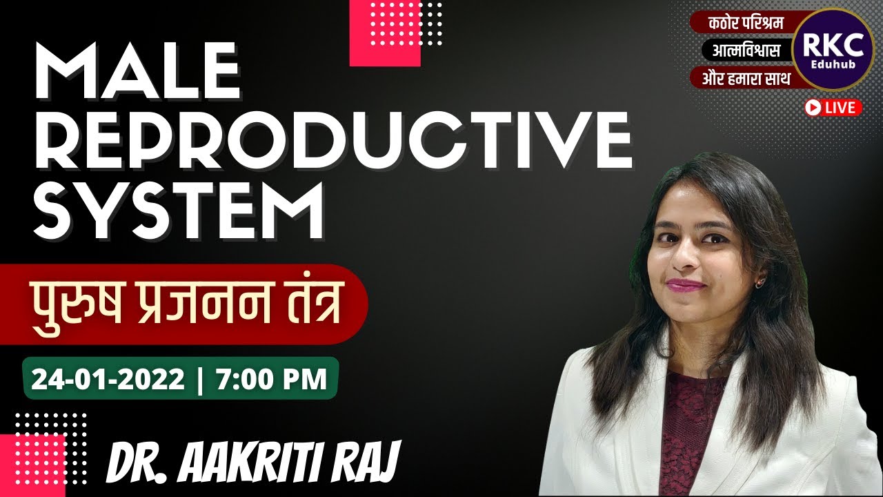 MALE Reproductive System | पुरुष प्रजनन तंत्र | Dr. Aakriti Raj | RKC Eduhub