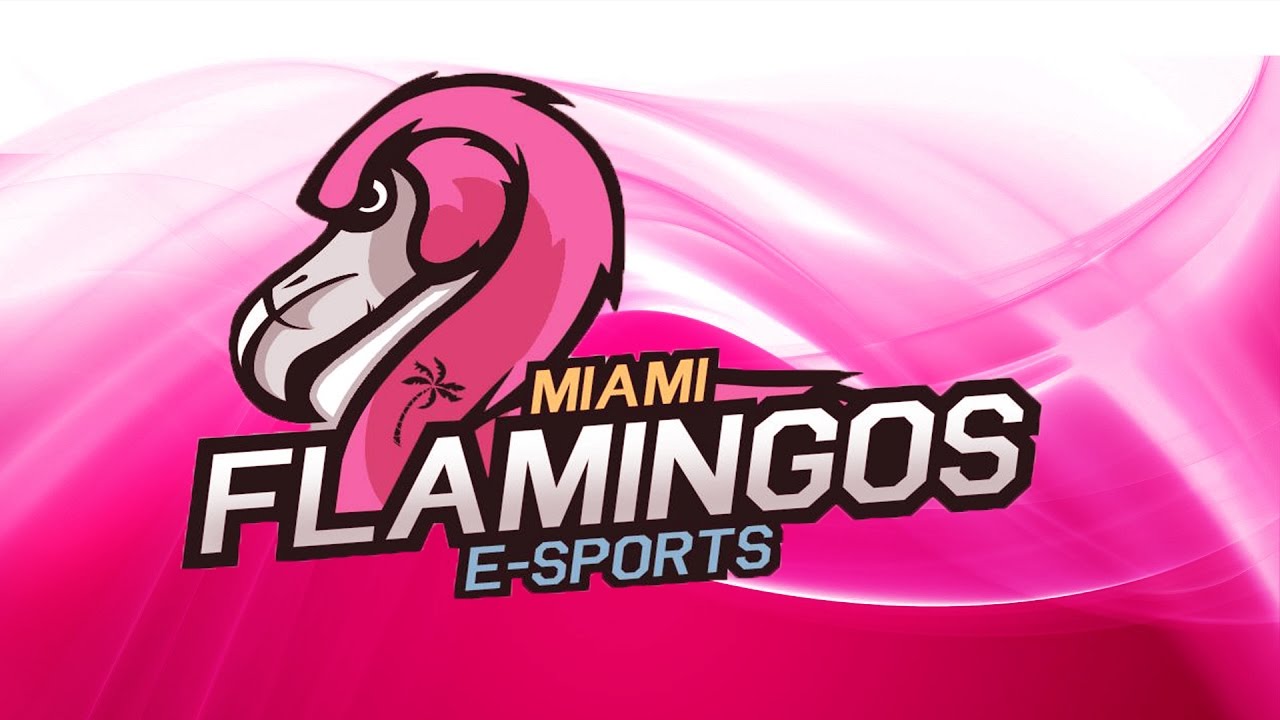 The Best OF Miami FLamingos - CS:GO 2017 (twitch)