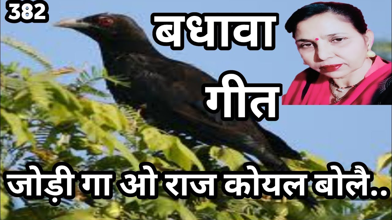 जोड़ी गा ओ राज कोयल बोले (382)बधावा गीत, विवाह में गाया जाने वाला गीत//सरोज चौधरी के भजन और लोकगीत।