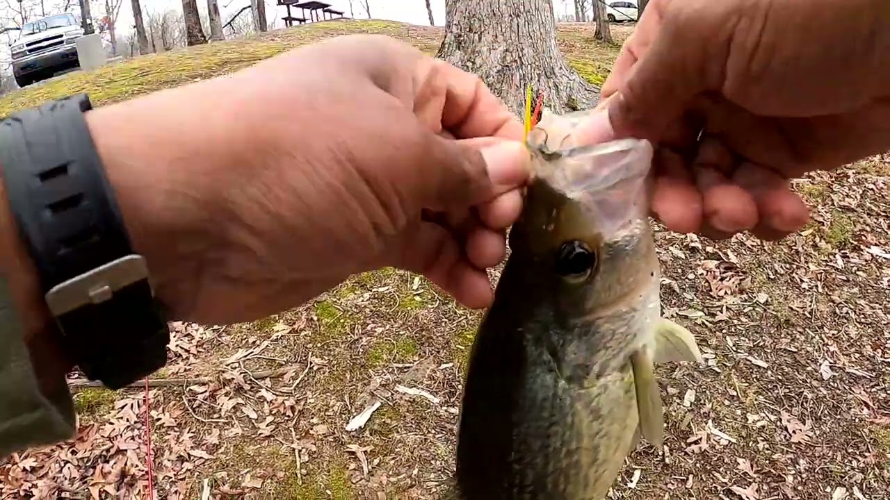 Bank Fishing For Crappie Using Bobby Garland ity bity swmer