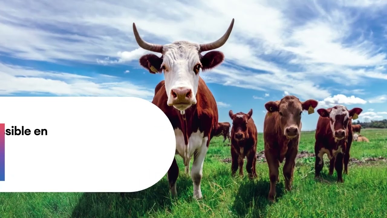 HARMONIX Inspyr concentr&eacute; insecticide au pyr&egrave;thre