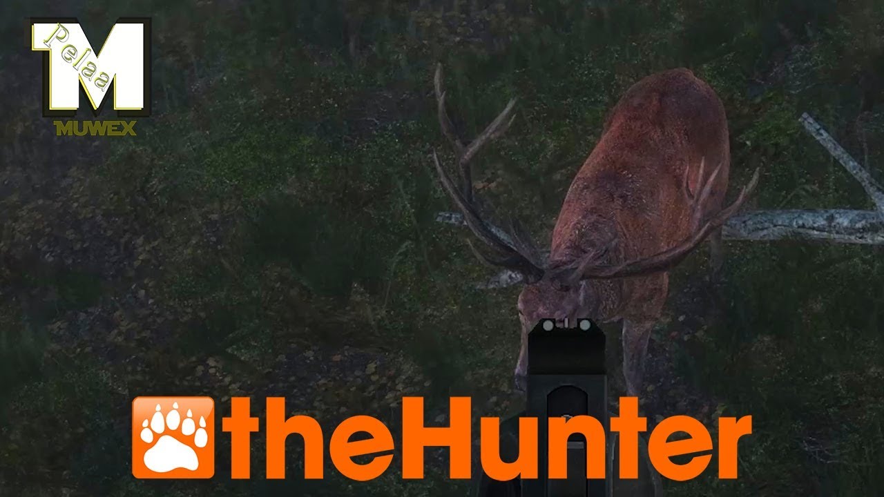 theHunter Classic - Muwella rippaa moti - Taas meni 2h