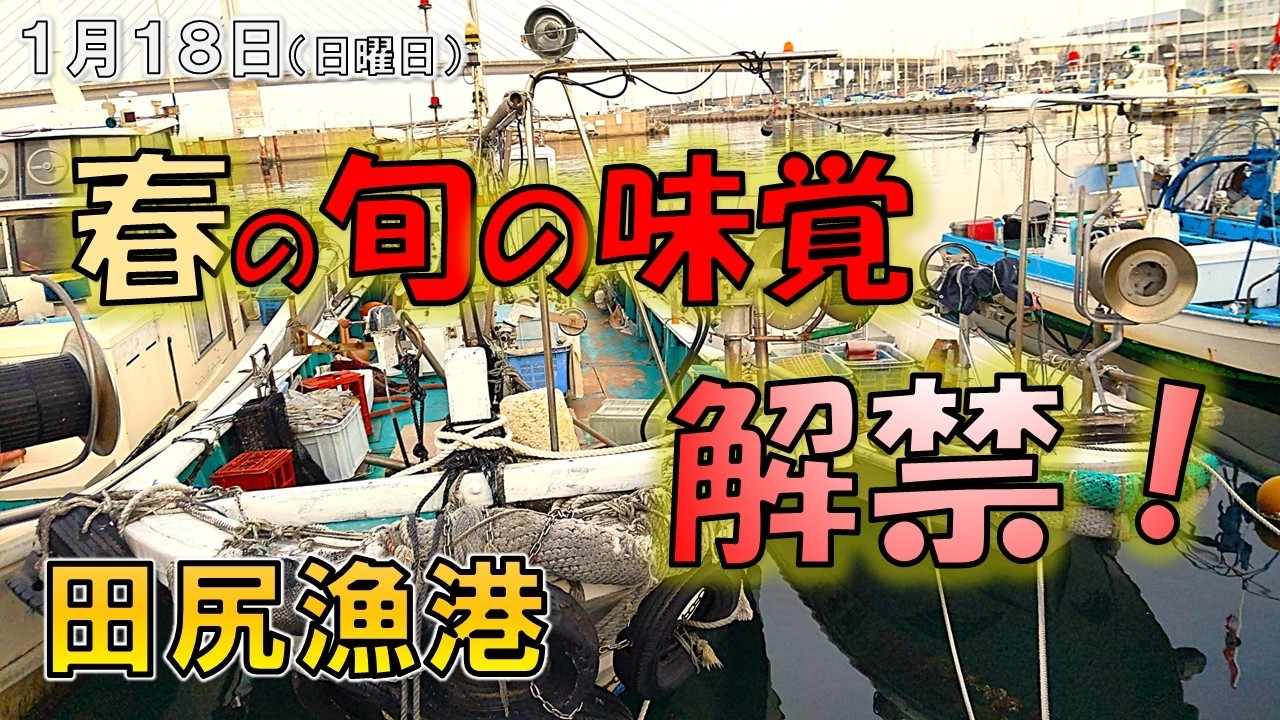 活けの状態で初めて見た魚に隣の人と大興奮( ﾟДﾟ)これからが旬の食材も見つけてきました！1月18日（日曜日）田尻漁港