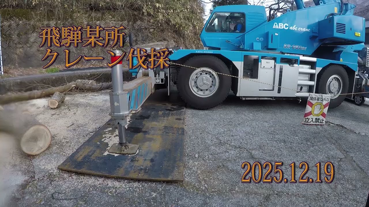 2025 12 19 Crane Felling 2nd