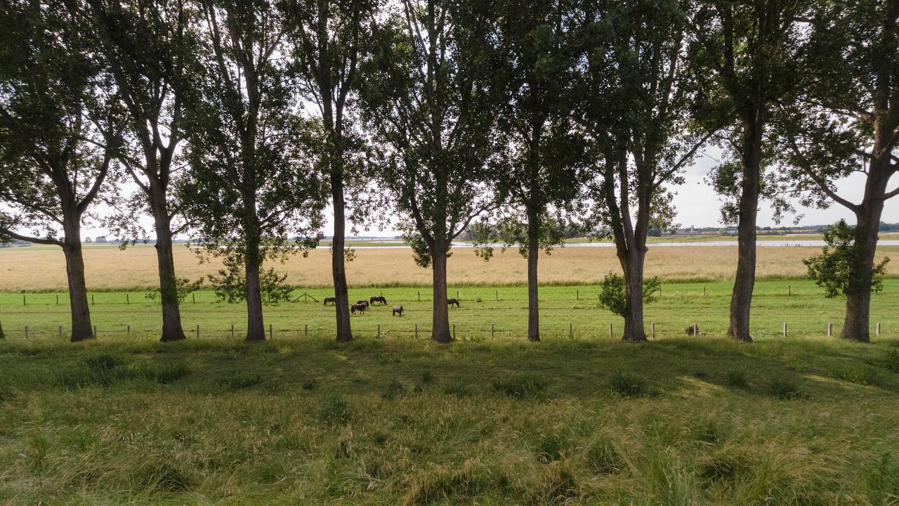 Wandelen klompenpad - Het Jordenklompenpad - Brakel en Poederoijen