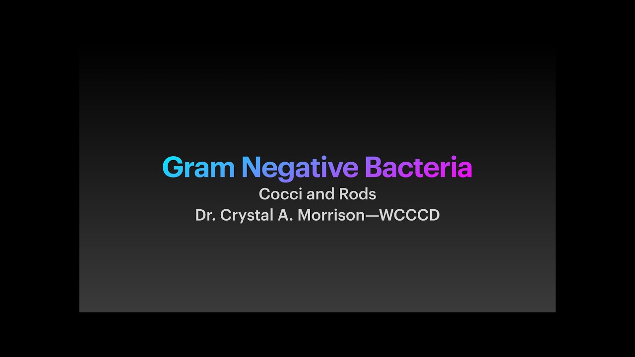 Lecture 7: Gram Negative Bacteria--Cocci and Rods with Dr. Crystal A. Morrison