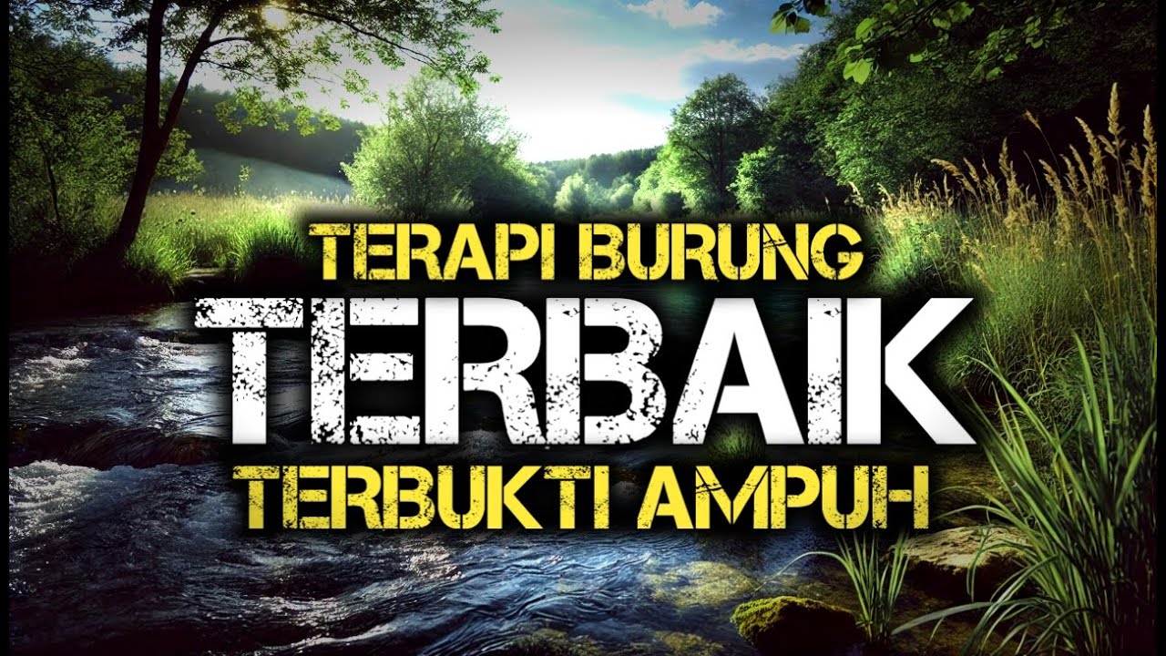 Terapi burung TERBAIK untuk semua jenis burung dengan suara air, Air Mengalir Terapi burung